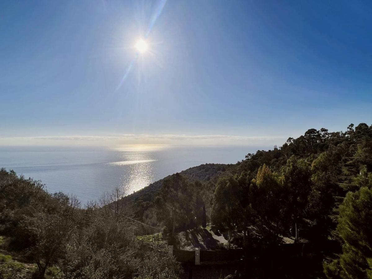 Magnifique 3 Pieces Vue Mer - Eze Apartman Kültér fotó